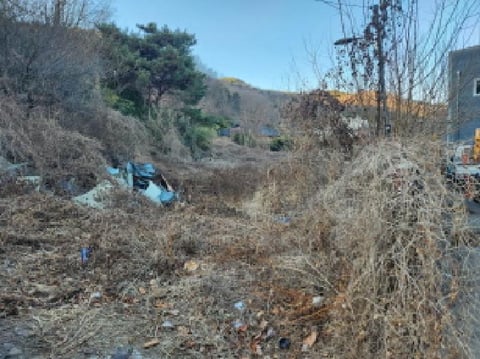 물건 사진 9