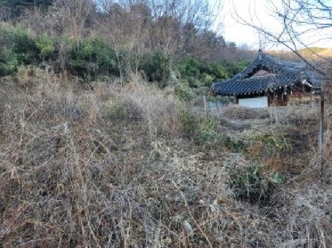 물건 사진 10