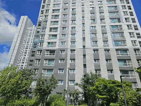 물건 사진 13