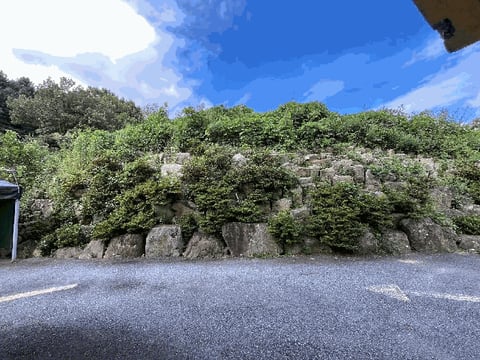 물건 사진 9