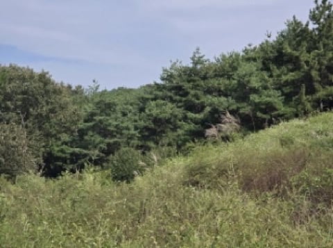 물건 사진 2