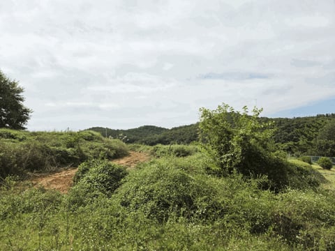 물건 사진 8