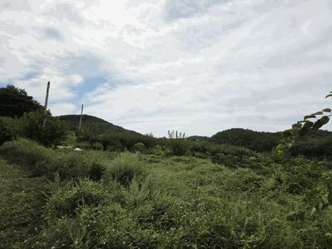 물건 사진 9