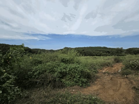 물건 사진 10