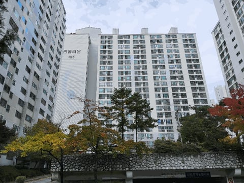 물건 사진 9