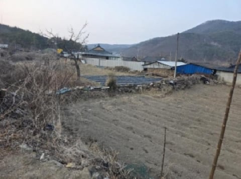물건 사진 1