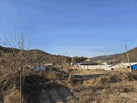 물건 사진 5