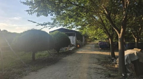 물건 사진 11