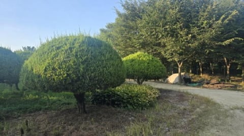 물건 사진 14
