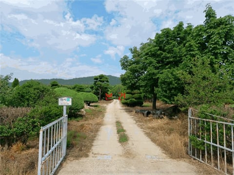물건 사진 24