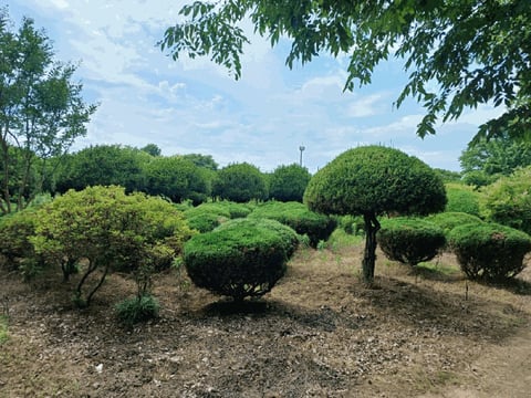물건 사진 29