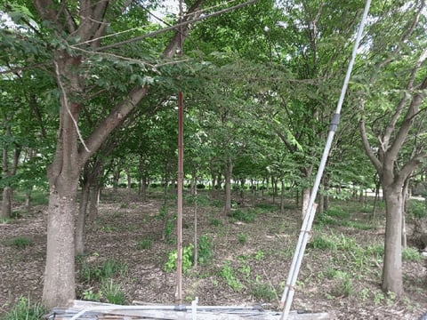 물건 사진 30