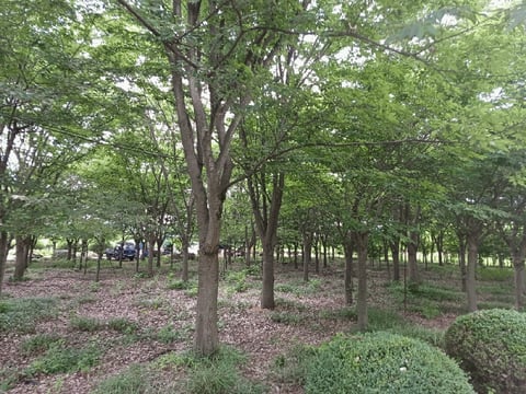 물건 사진 38