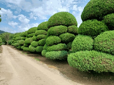 물건 사진 43