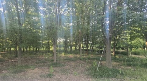 물건 사진 7