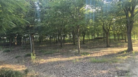 물건 사진 8