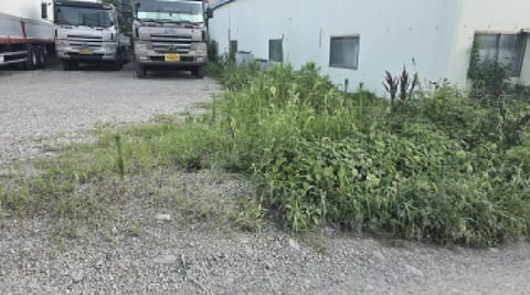 물건 사진 11