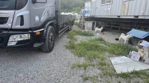 물건 사진 12