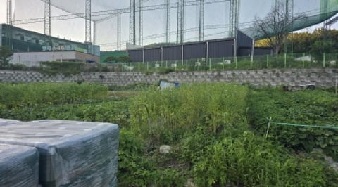 물건 사진 7