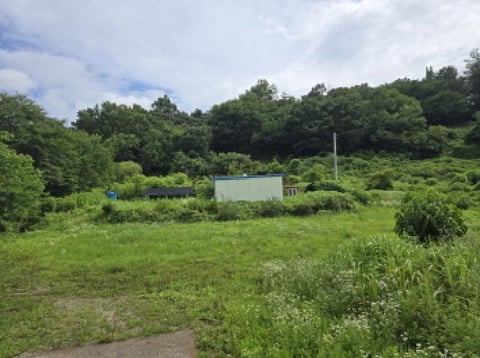 물건 사진 1