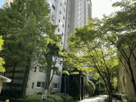 물건 사진 8
