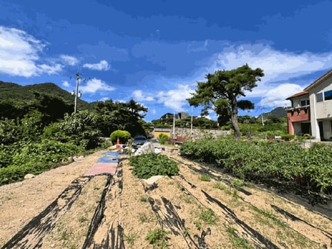 물건 사진 6