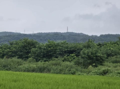 물건 사진 5