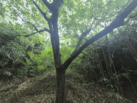 물건 사진 11