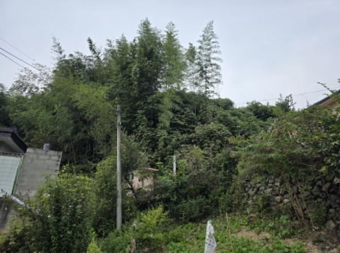 물건 사진 4