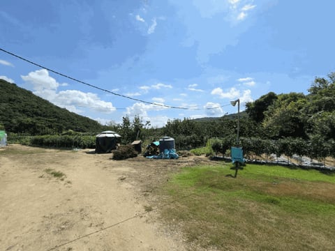 물건 사진 20