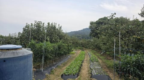 물건 사진 4