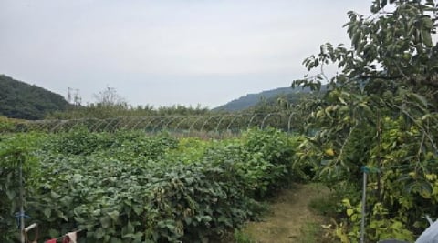 물건 사진 6