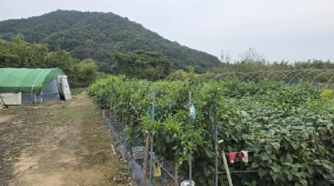 물건 사진 7