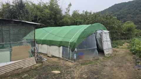 물건 사진 9