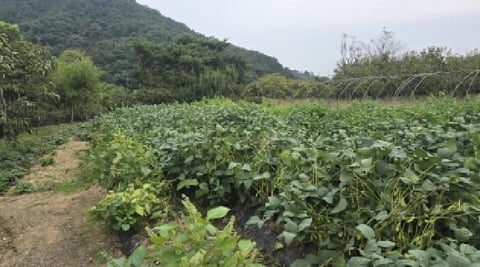 물건 사진 10