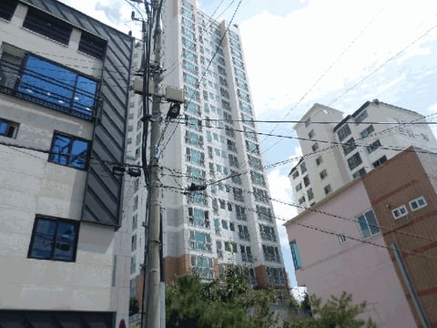 물건 사진 14