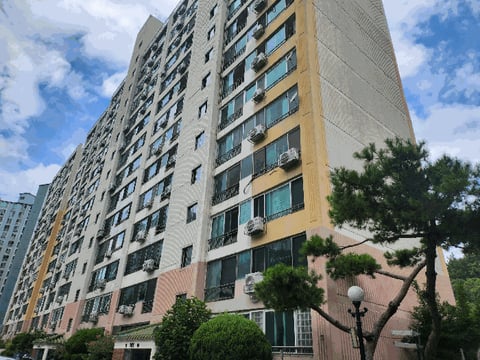 물건 사진 7
