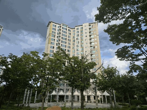 물건 사진 6