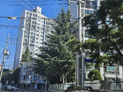 물건 사진 7