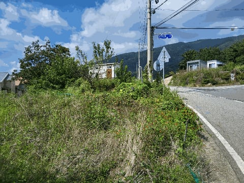 물건 사진 15