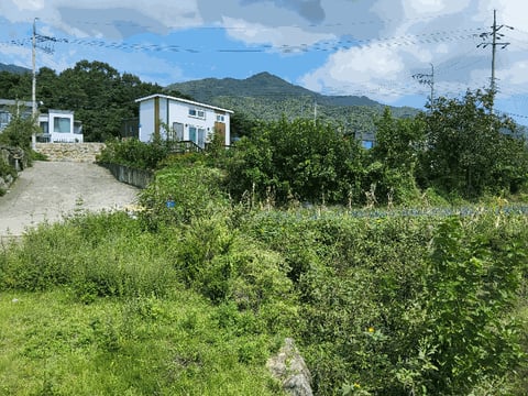 물건 사진 16
