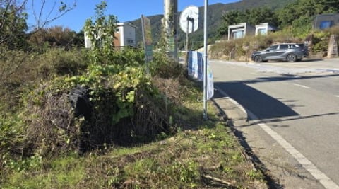 물건 사진 5