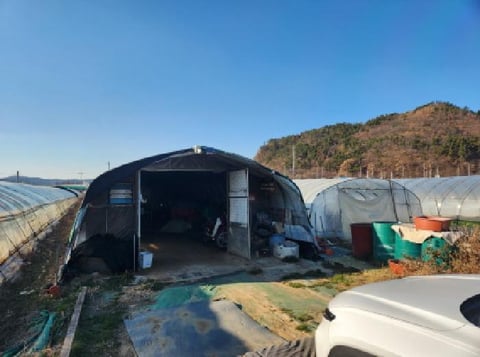 물건 사진 3
