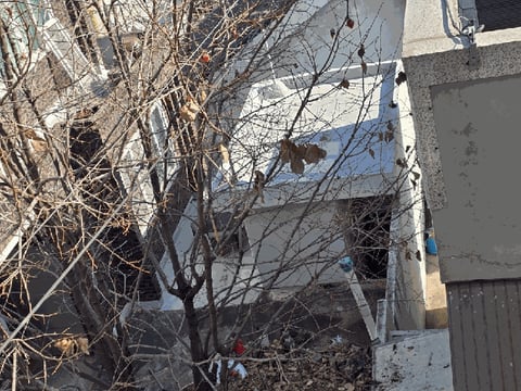 물건 사진 12