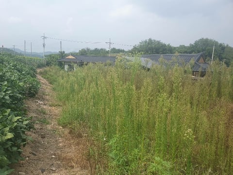 물건 사진 13