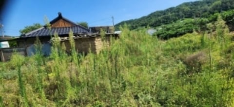 물건 사진 5