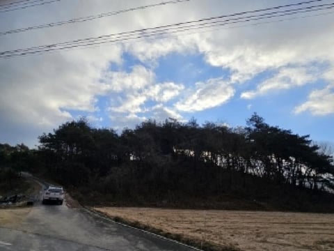 물건 사진 12