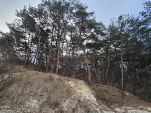 물건 사진 13