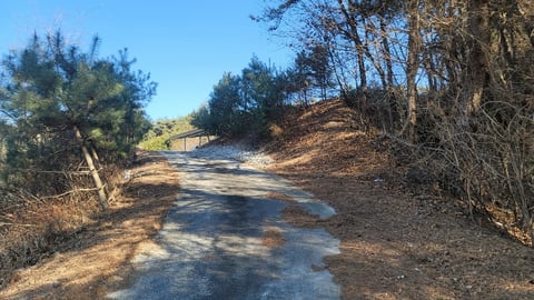 물건 사진 19