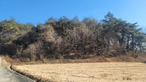 물건 사진 28